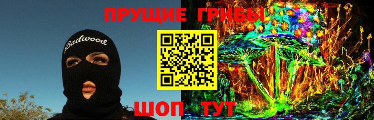где можно купить наркотик  Вход с VPN  Медногорск  Галлюциногенные грибы Cubensis 