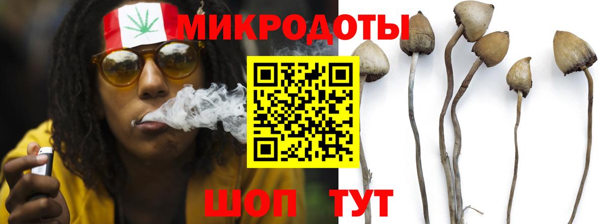 Галлюциногенные грибы Magic Shrooms Медногорск